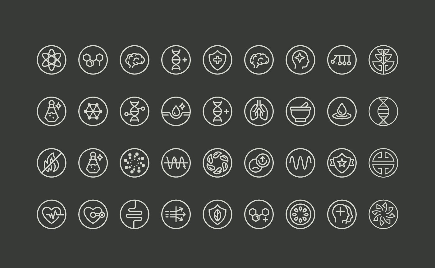 Kimia Wellness iconography