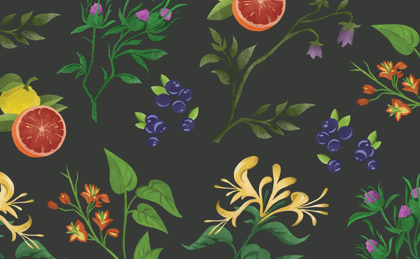 Kimia Wellness illustration